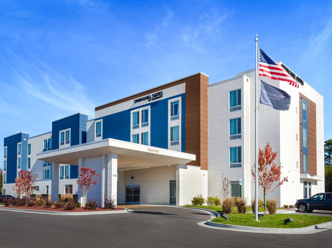 Springhill Suites by Marriott Chattanooga South/Ringgold, GA主图