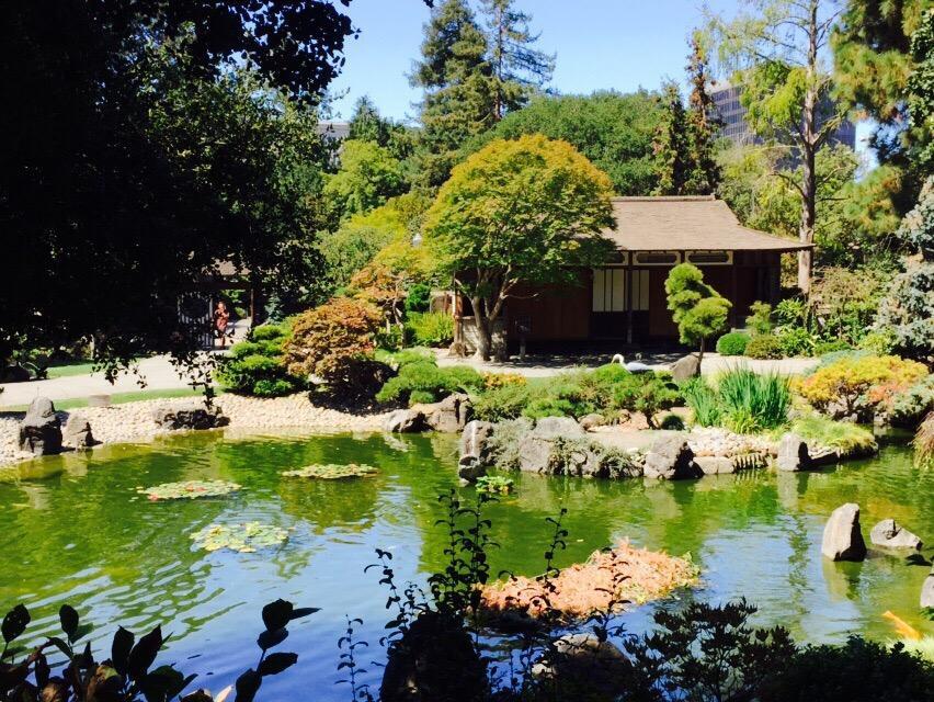 The San Mateo Japanese Garden景点图片
