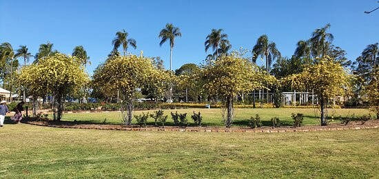Newtown Park & Queensland State Rose Garden景点图片