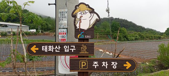 Taehwa San-丹阳郡必去景点