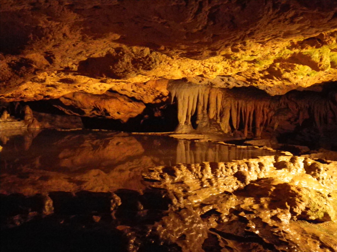 Florida Caverns State Park景点图片