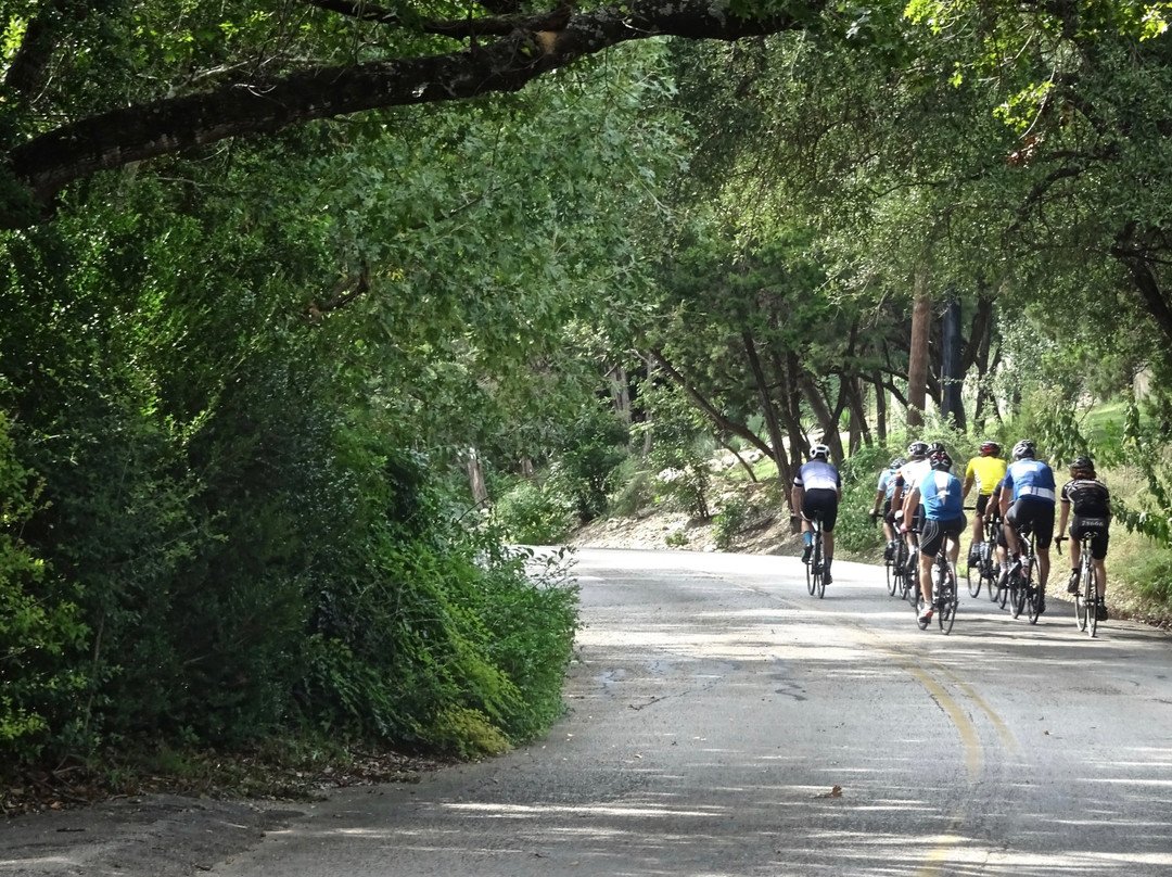 Texas Bike Tours-奥斯丁必去景点