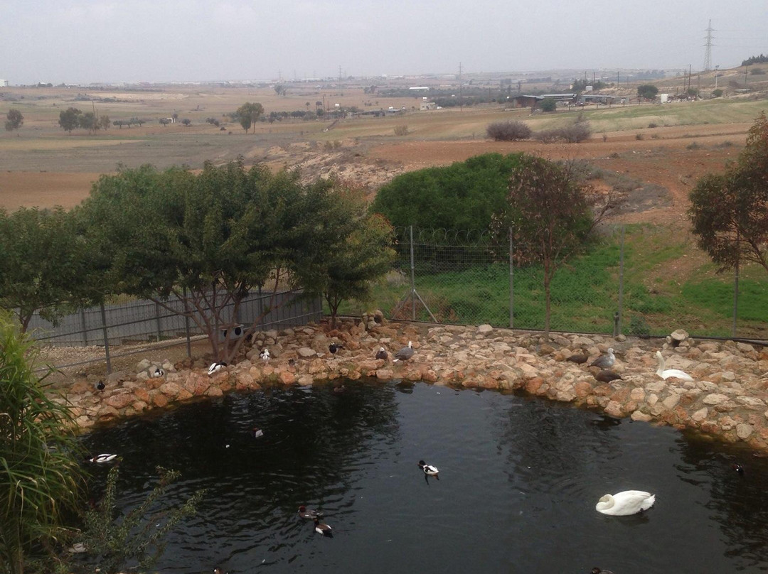 Melios Zoo-尼科西亚必去景点