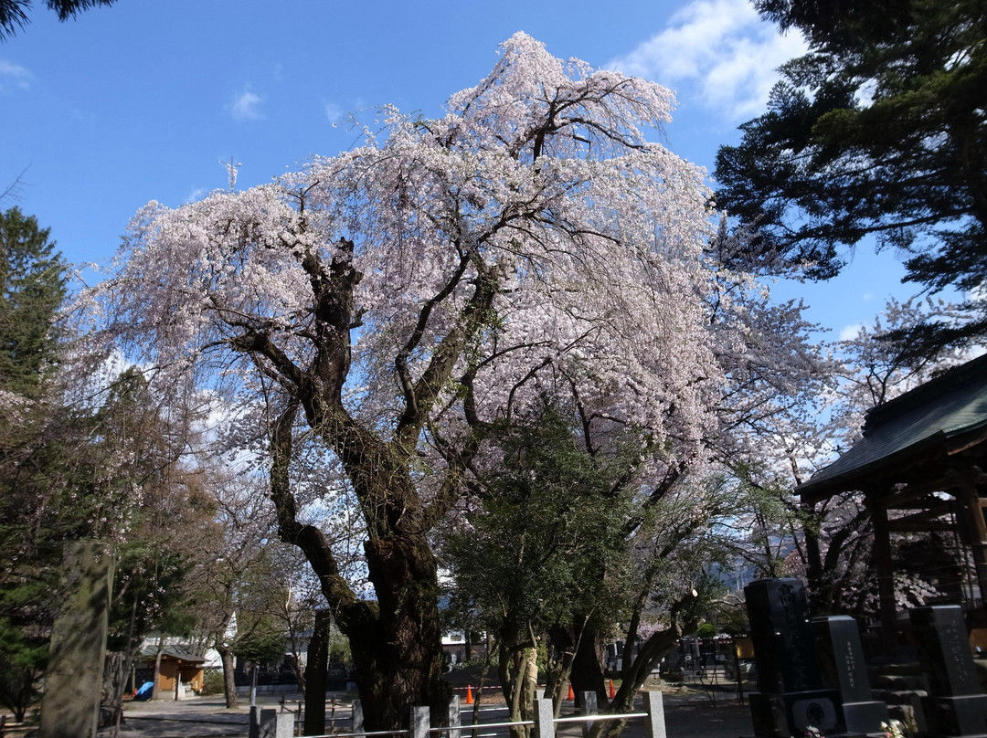 Senshoji Temple-山形市必去景点