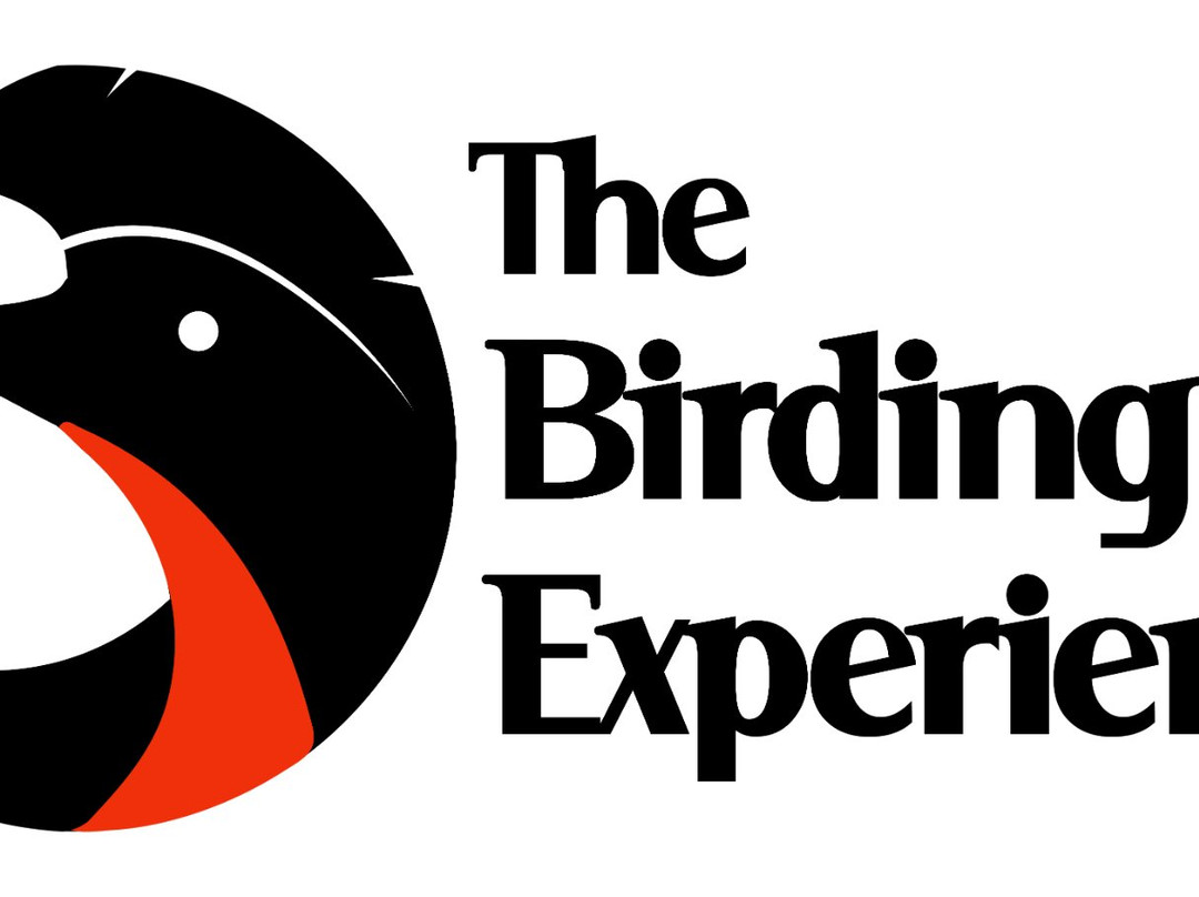 The Birding Experience景点图片