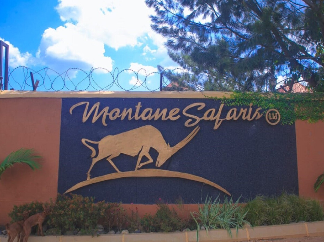 Montane Safaris Hotel
