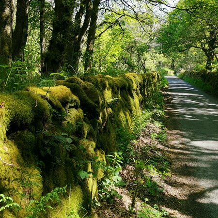 Forest of Bowland Area of Outstanding Natural Beauty景点图片