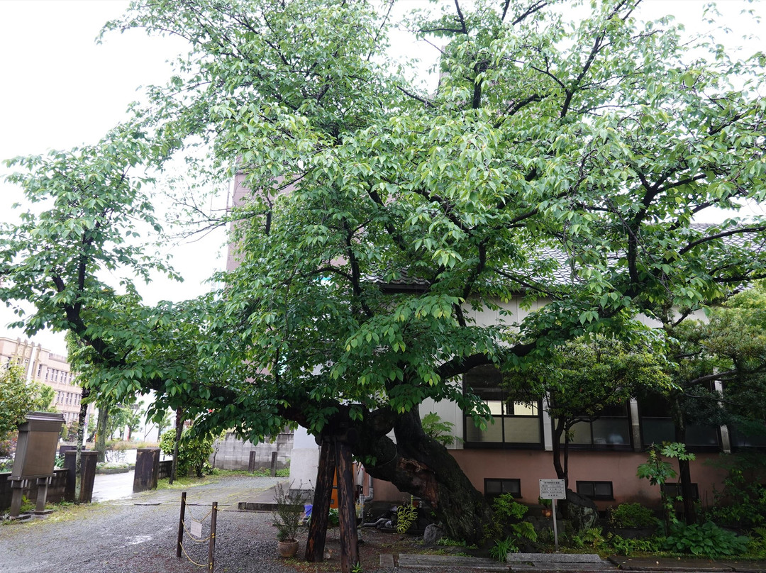 Hoon-ji Temple