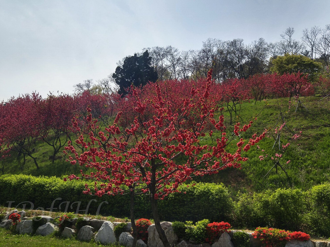 Seongsusan Park景点图片