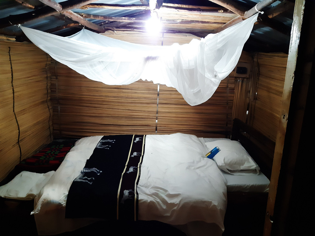 Lillypond Camp