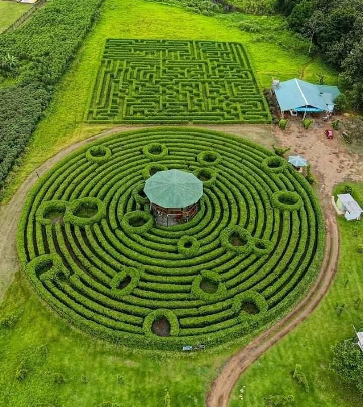 Posada Rio Celeste La Amistad主图