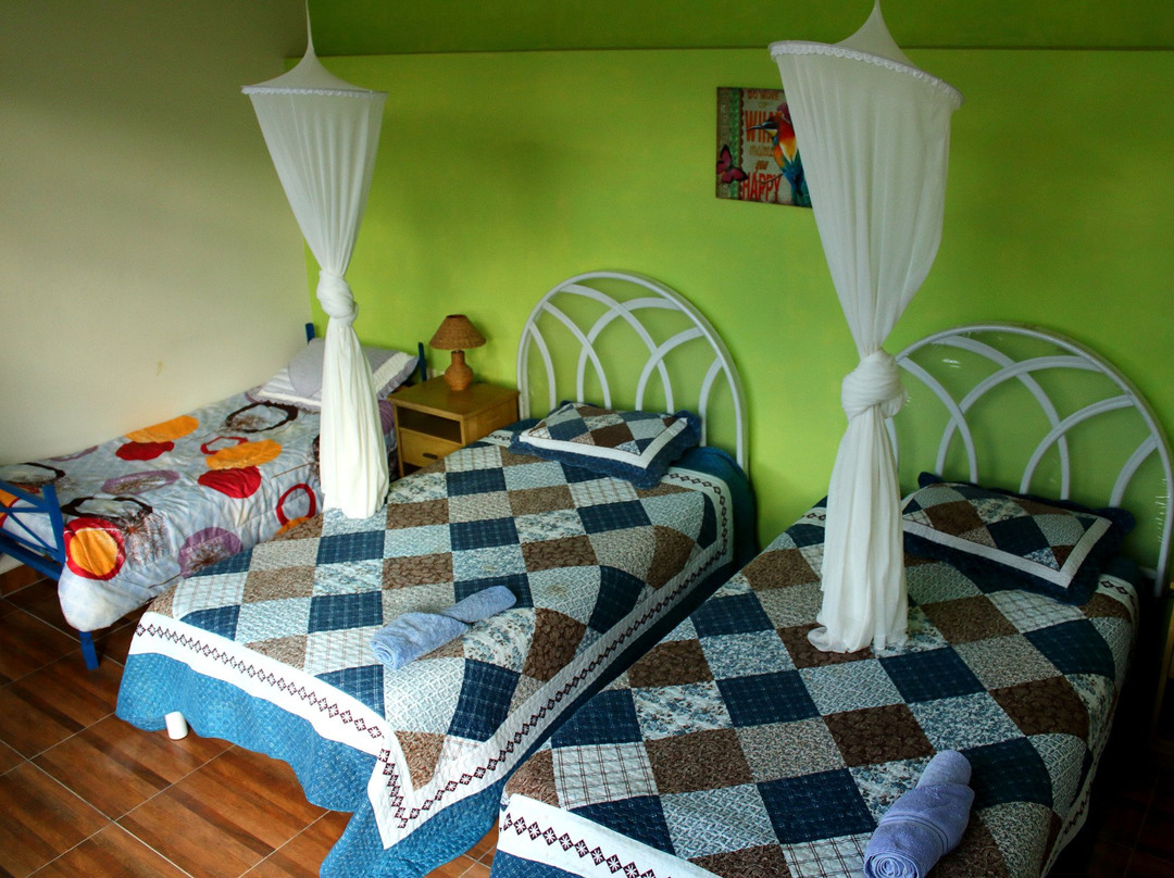 Mariposa Azul