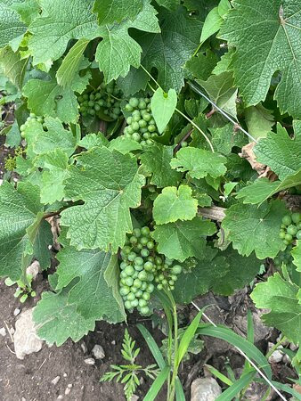 A County Experience-Milford必去景点