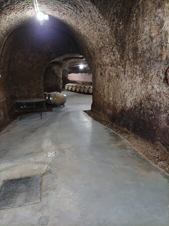 Bodega Campo Eliseo-La Seca必去景点