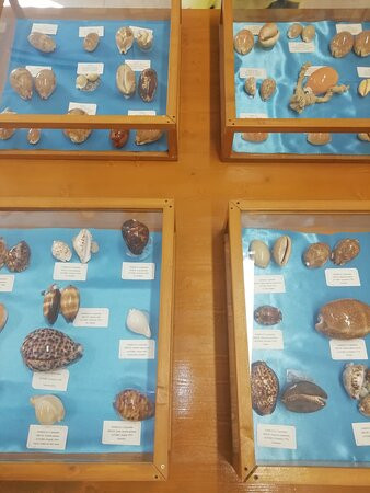 Museo delle Conchiglie-Roseto Capo Spulico必去景点