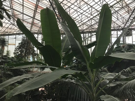 Jardin des Plantes景点图片