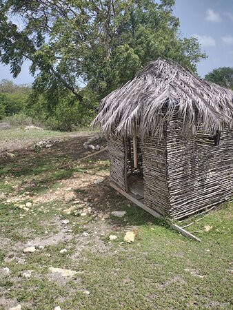 Shelly Jay's Jeep Tours-安提瓜必去景点
