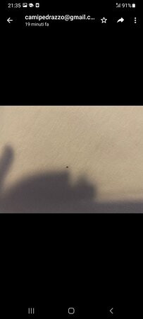 Hótel Stadarborg主图