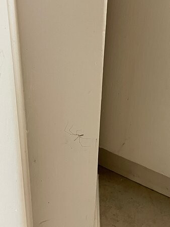 Beach Estates Inn主图