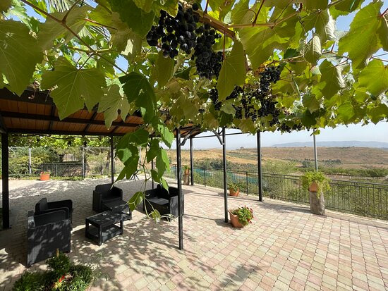 Agriturismo Il Drago主图
