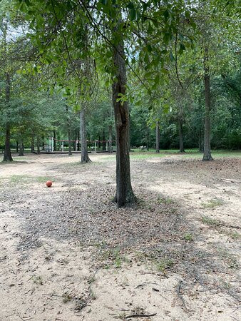 7 Acre Wood-Conroe必去景点