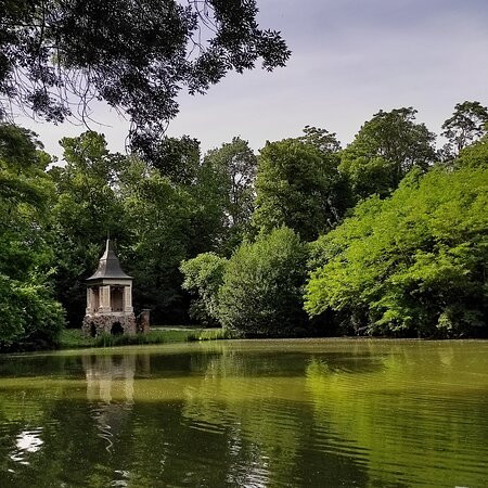 Villa Medici del Vascello景点图片