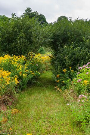 Bark Eater Inn主图