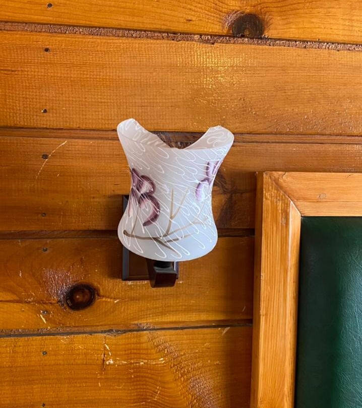 Hotel Heevan Pahalgam主图