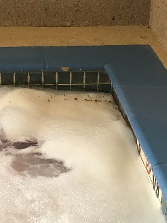 贝斯特韦斯特JFK套房酒店主图