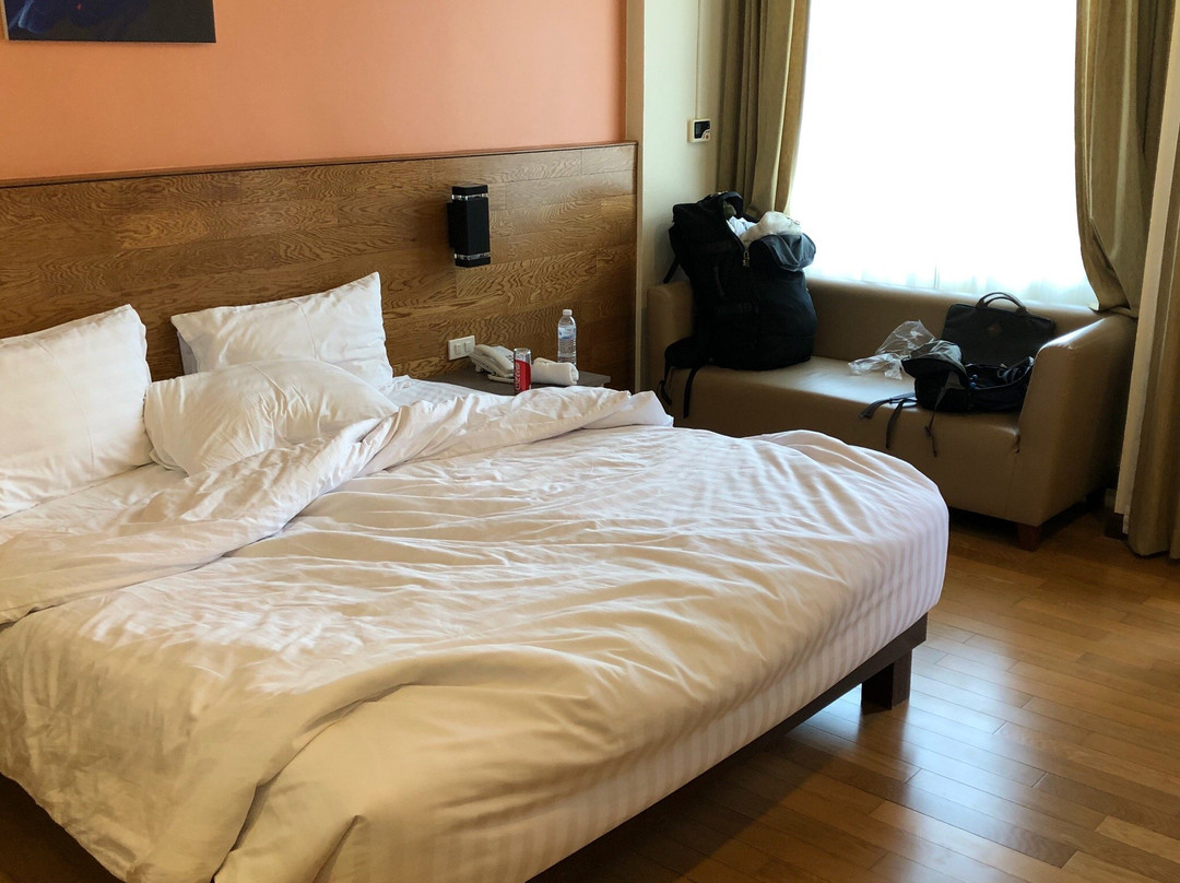 Green View Boutique Hotel主图