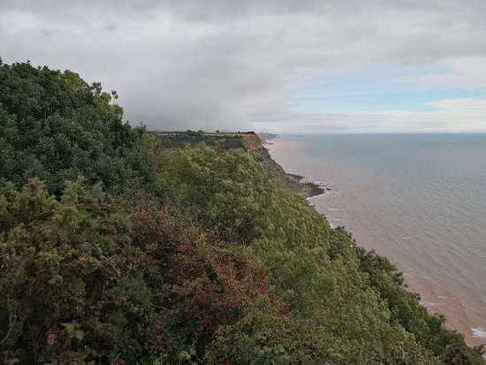 Sidmouth Park-伦敦必去景点