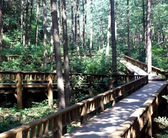 杨平郡旅游景点-Saneum Natural Recreation Forest