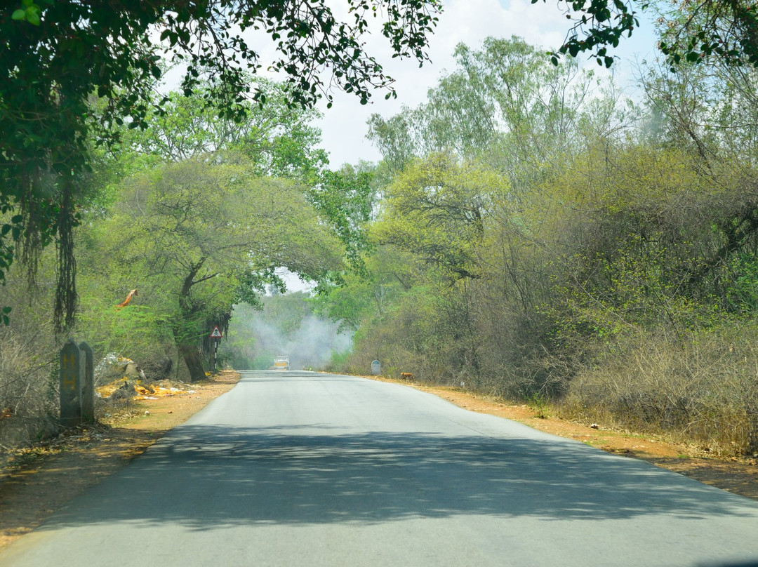 Mangalore to Bangalore Dream Route景点图片