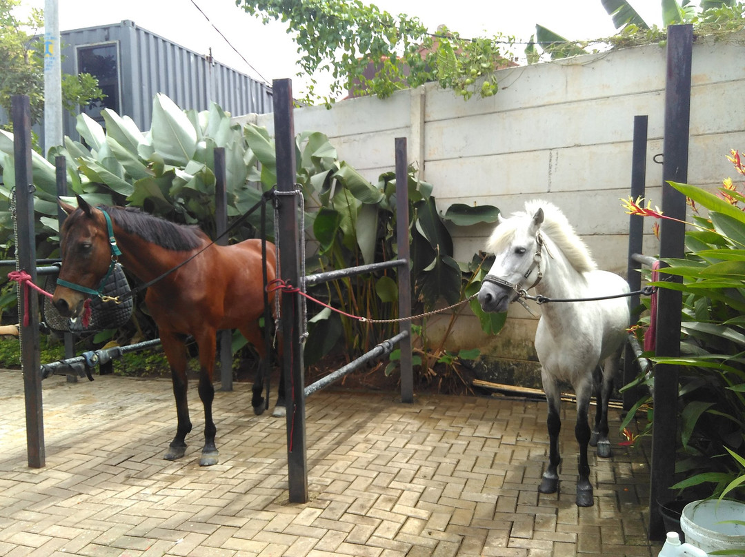 Branchsto-坦格朗必去景点