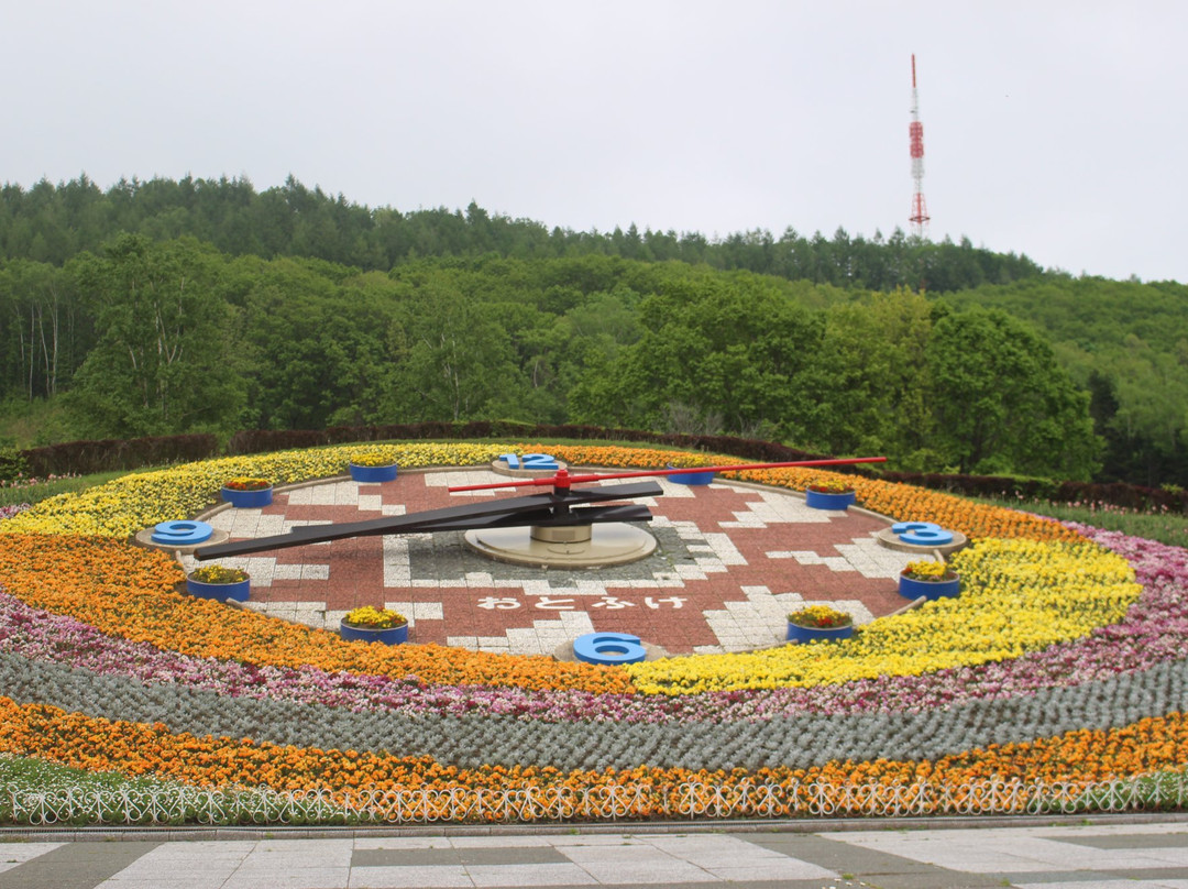 池田町旅游景点-十勝之丘公園