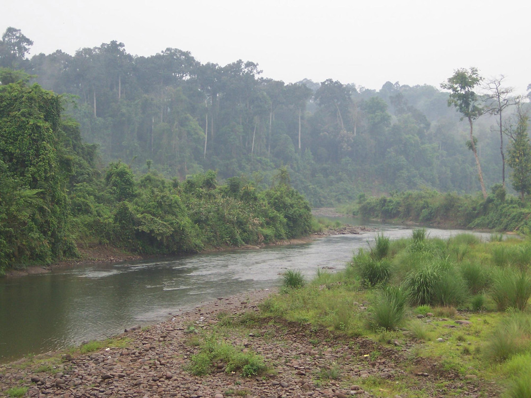 Dehing Patkai Wildlife Sanctuary景点图片