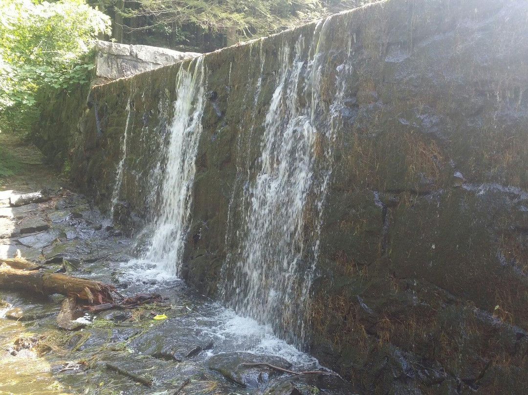 托灵顿旅游攻略图片