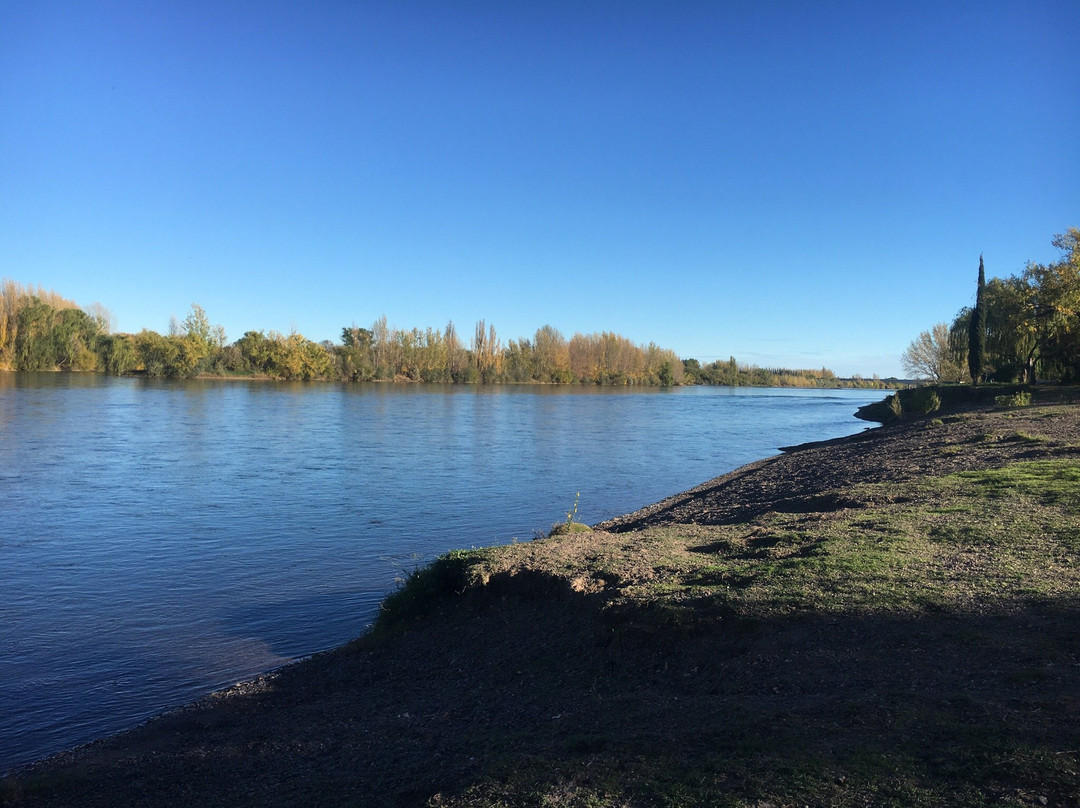 Choele Choel旅游攻略图片