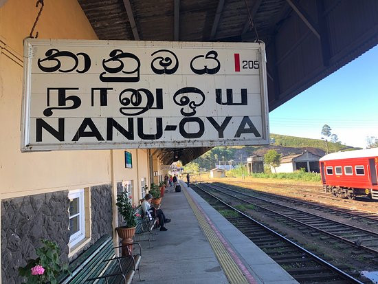 Train Tours-埃勒必去景点