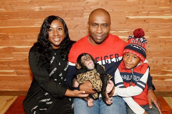 T.I.G.E.R.S. Preservation Station-美特尔海滩必去景点