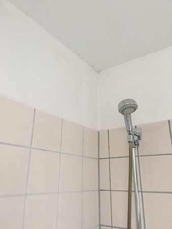 Hotel Villa Feise主图