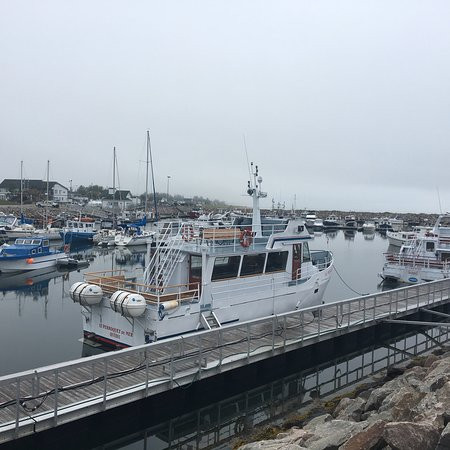 Services Maritimes Boreale-Havre St. Pierre必去景点