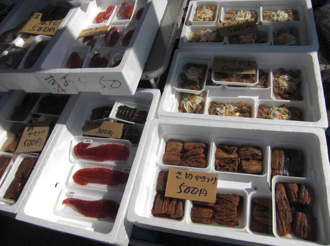 Senami Onsen-村上市必去景点