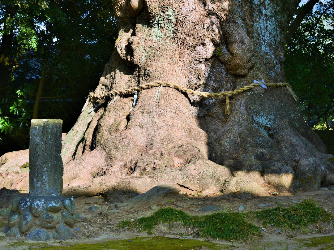 Sugihokowake no Mikoto Shrine (Kawazu Kinomiya Shrine)景点图片