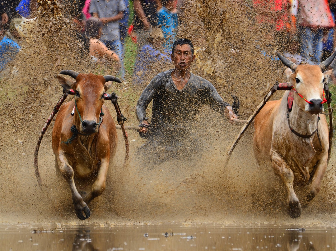 Lite 'N' Easy Tour-武吉丁宜必去景点