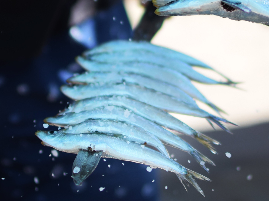 Chiringuito Las Bahamas