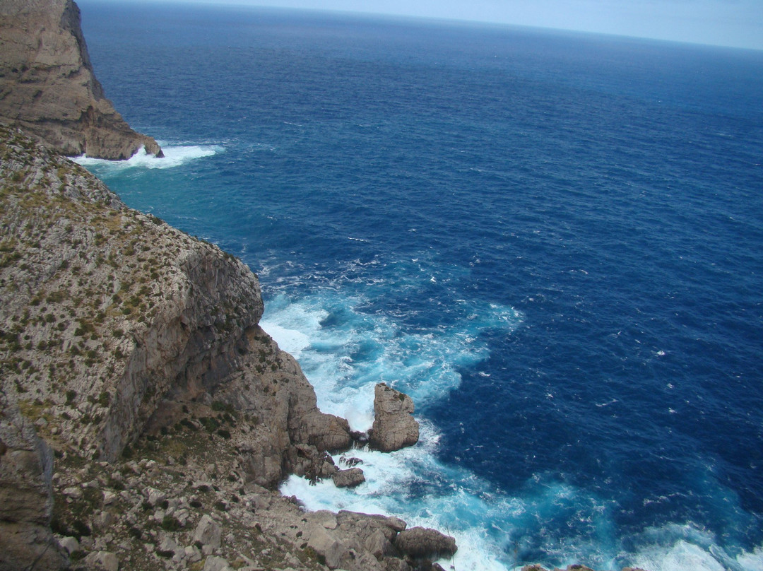 Pollenca旅游攻略图片