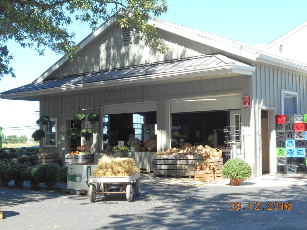 Kulpsville旅游景点-Merrymead Farm