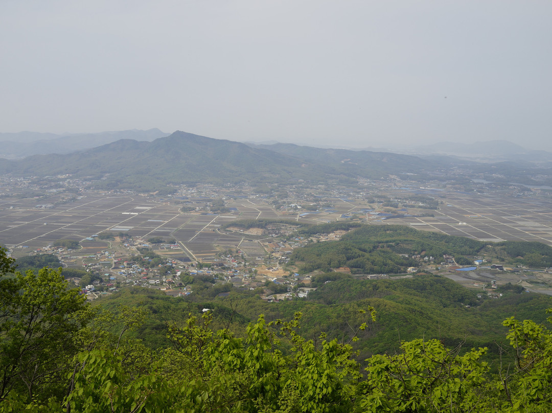 Manisan Mountain-仁川必去景点