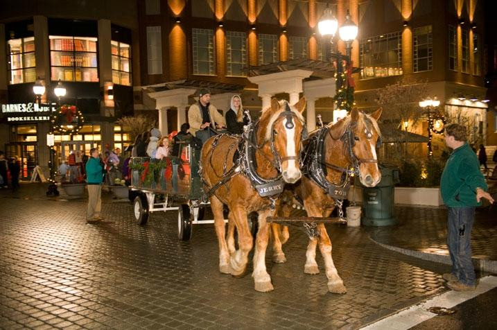 The Center & The Square